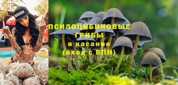винт Армянск