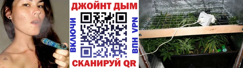 Канабис Bruce Banner  кракен рабочий сайт  Ельня  магазин продажи  